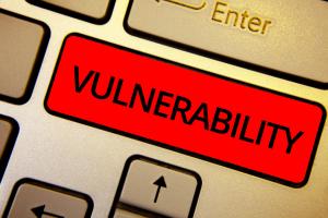 Vulnerability Image